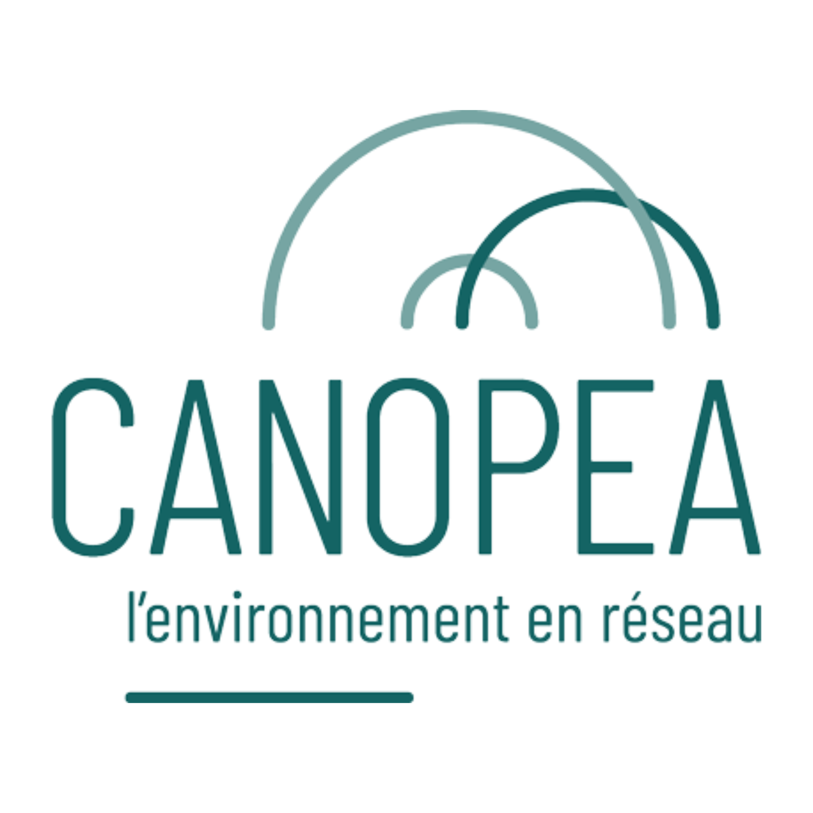 canopea logo belgium